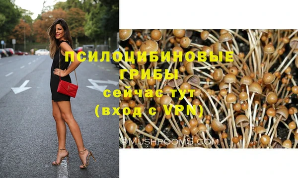 марки nbome Беломорск