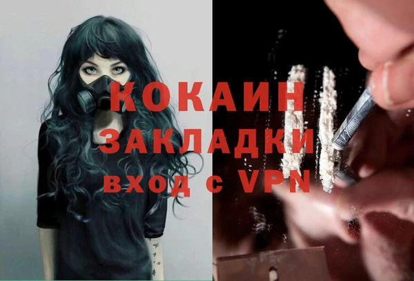 мяу мяу мука Белокуриха